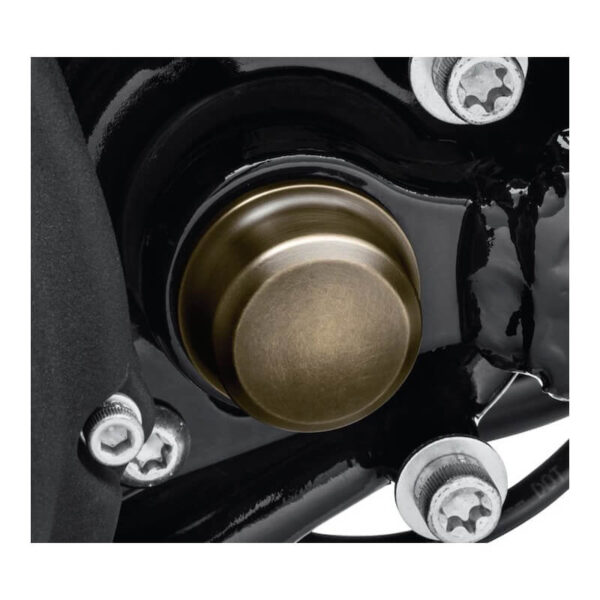 Brass Swingarm Pivot Bolt Cover HarleyDavidson® Online