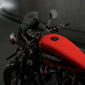 Sportster S Wild One Package 50700104