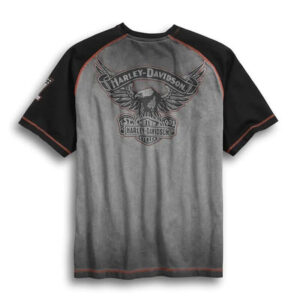 Men's Iron Block Raglan Tee - Image 2