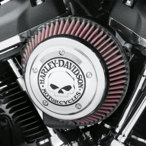 Willie G Skull Air Cleaner Trim - Image 3