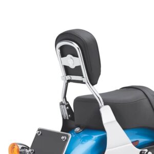 Low Mini-Medallion Style Sissy Bar Upright - Image 2