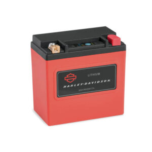 Lithium LiFe 6Ah Battery - Image 1