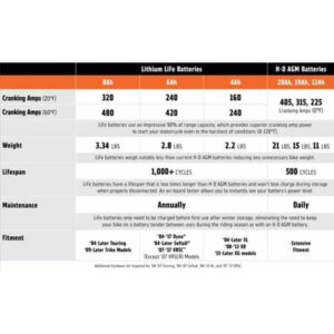 Lithium LiFe 8Ah Battery - Image 4