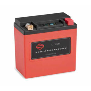 Lithium LiFe 8Ah Battery - Image 1