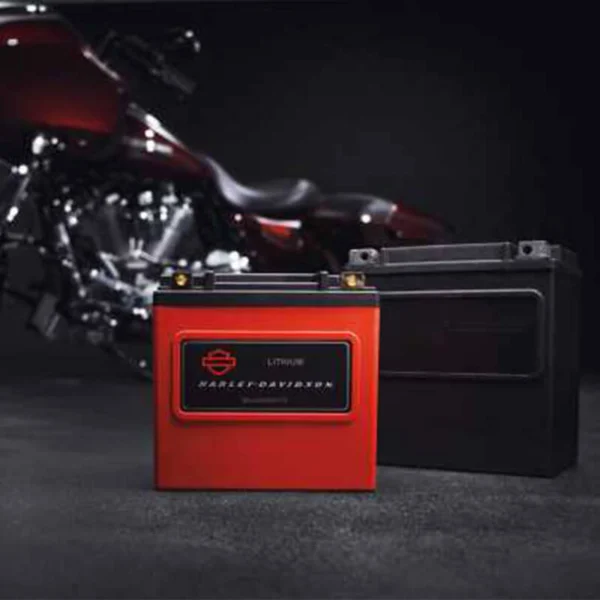 Lithium LiFe 8Ah Battery | 66000175