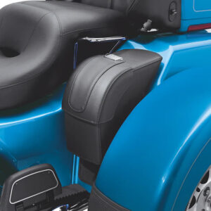 Trike Saddlebags - Image 2