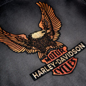 Men's Vintage Eagle Hoodie - Image 3