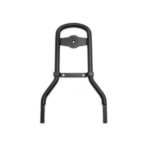 Standard Mini-Medallion Style Sissy Bar Upright