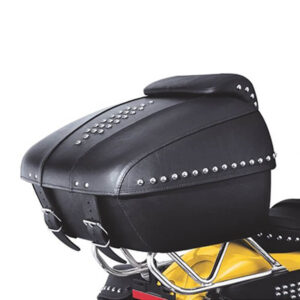 Leather T-Pak- Flstc - Image 1