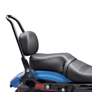 Passenger Pillion - ’16 Forty-Eight Style