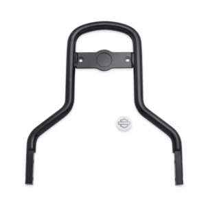 Low Mini-Medallion Style Sissy Bar Upright