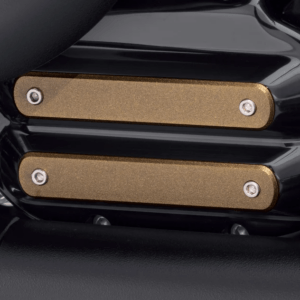 Dominion Large Insert - Image 3