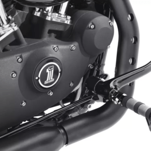 Diamond Black Footpegs And Shifter Peg - Image 1