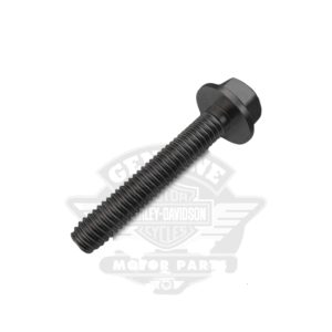 Screw Socket HD Cap Sems M6X95