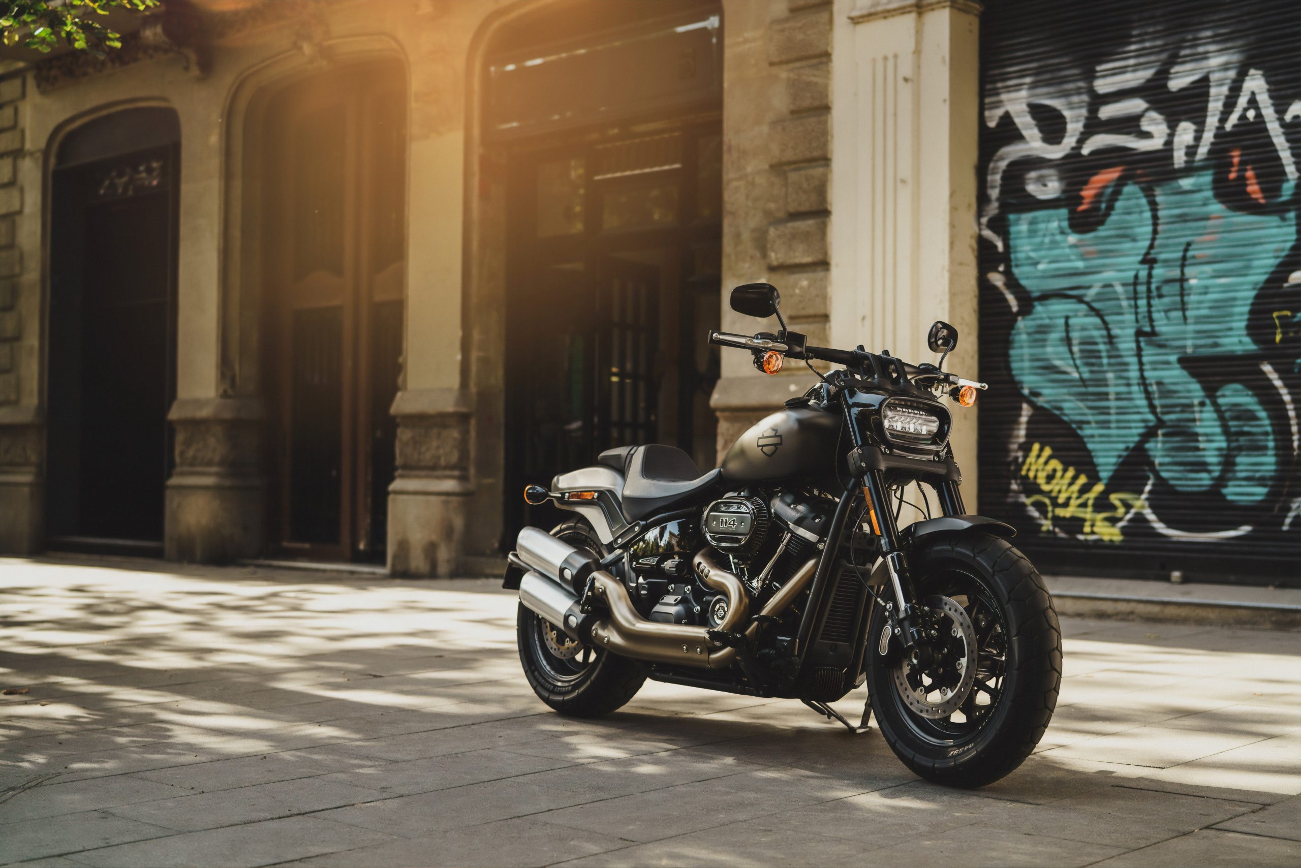 Harley Davidson motorcycle on a city pavement