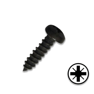 Self-Tap Torx Plastic screw:PAN