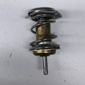 Element Thermostat