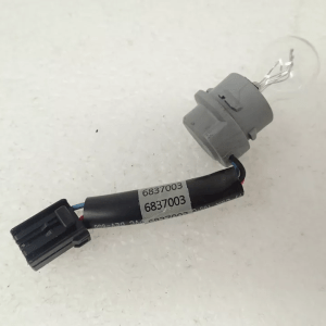 Tail Lamp Socket Assembly, Dom