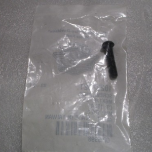 Small black screw inside a clear plastic bag placed on a gray foam surface, photographed from above.