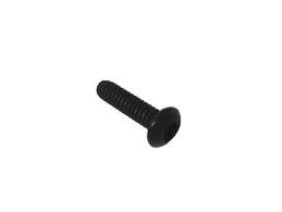 Black Phillips-head wood screw