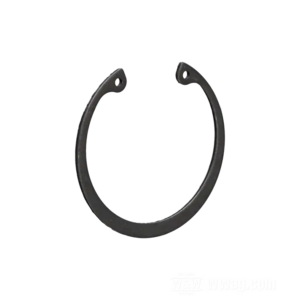 RETAINING RING