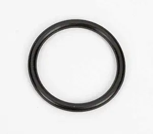Black rubber O-ring (circular gasket) on a white background.