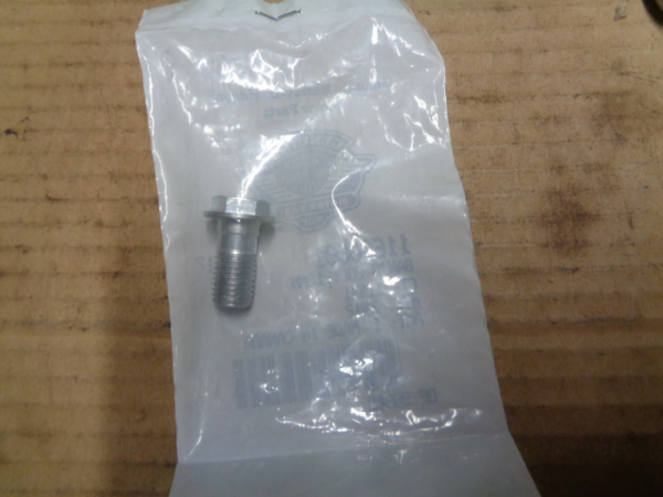 Metal bolt with washer resting on a translucent plastic bag on a wooden workbench.