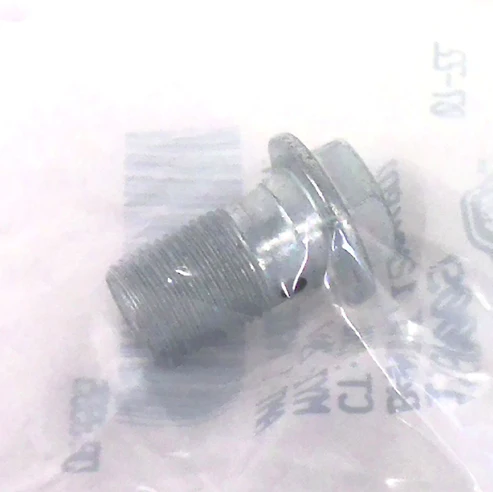 Metal bolt with a washer inside a clear plastic bag.