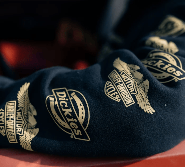 Dickies x H-D Eagle Sleeve Hoodie – Anthracite | 96565-25VX Dickies x H-D Eagle Sleeve Hoodie – Anthracite | 96565-25VX
