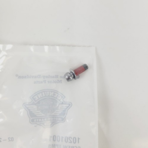 Small metal bolt with red threadlocker on its threads, placed on a clear plastic bag.