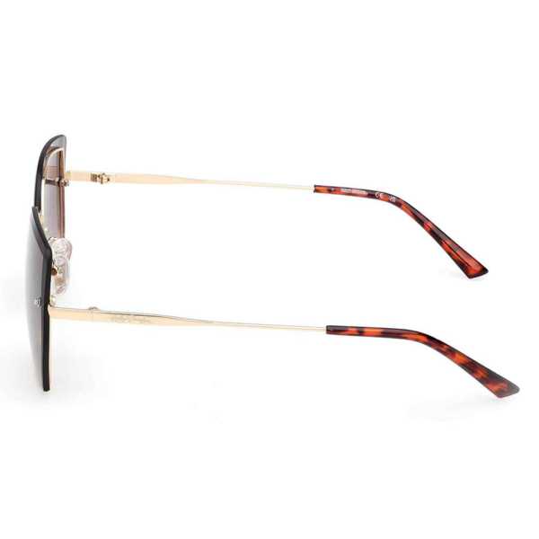 Side view of stylish sunglasses with gold metal arms and tortoiseshell temple tips