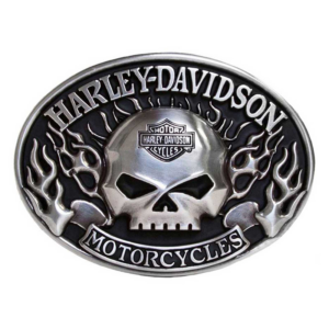 Harley-Davidson motorcycle emblem with a silver skull and flames backdrop
