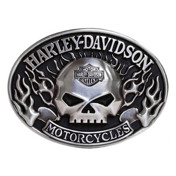 Harley-Davidson motorcycle emblem with a silver skull and flames backdrop