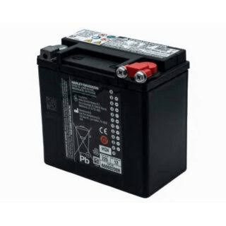 66000485 | Harley-davidson® Online 66000485